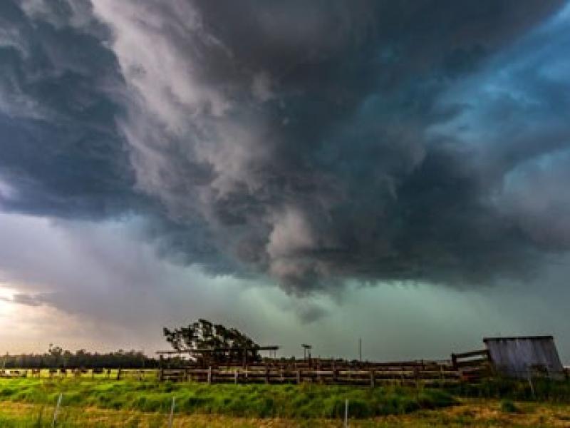 Storm clouds over a grassy field. 